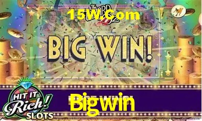 Security Systems Bigwin